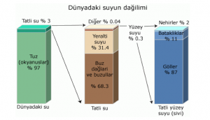 dünyadaki suyun dağılımı