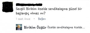 birikim3